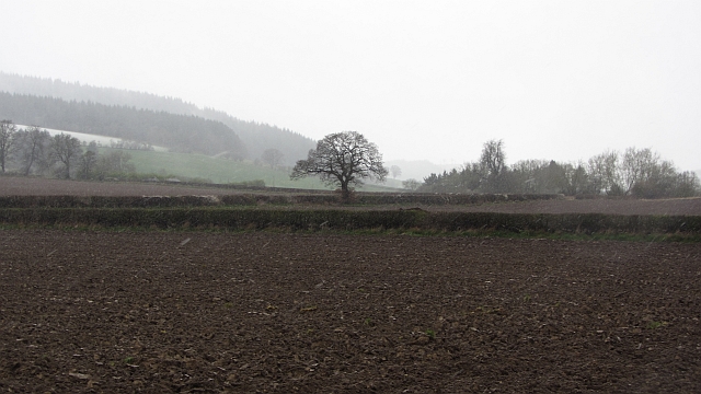 File:Ploughed fields, Bedstone - geograph.org.uk - 3149707.jpg