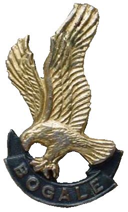 File:SADF 118 SAI beret badge.jpg