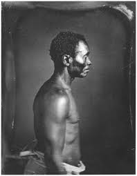 File:Slave Portrait Agassiz Zealy Man Side Bust 2.jpg