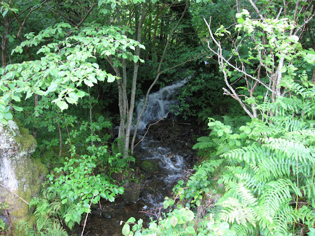 File:Stream approaching Loch Creran - geograph.org.uk - 1529260.jpg