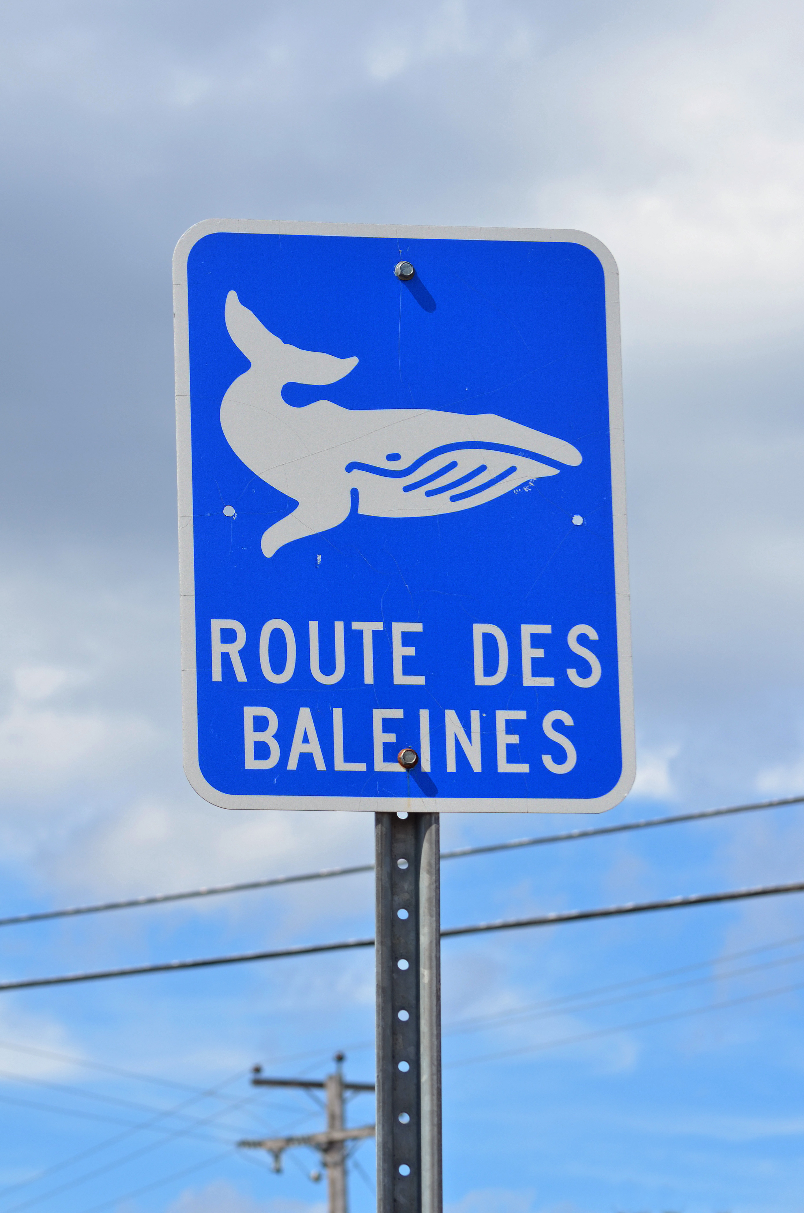 https://upload.wikimedia.org/wikipedia/commons/8/83/Tadoussac_-_Whale_road_sign.jpg