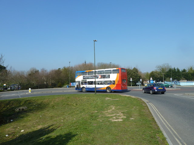 File:The first day of Spring around unseen Chichester (218) - geograph.org.uk - 2323039.jpg