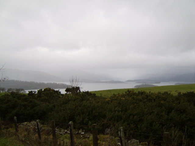 File:Woodland near Loch Lomond - geograph.org.uk - 326058.jpg