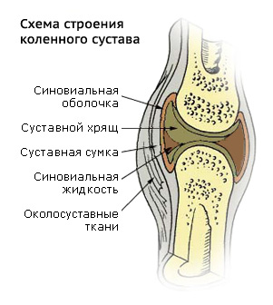 Заболевания суставов, диагностика и методы лечения