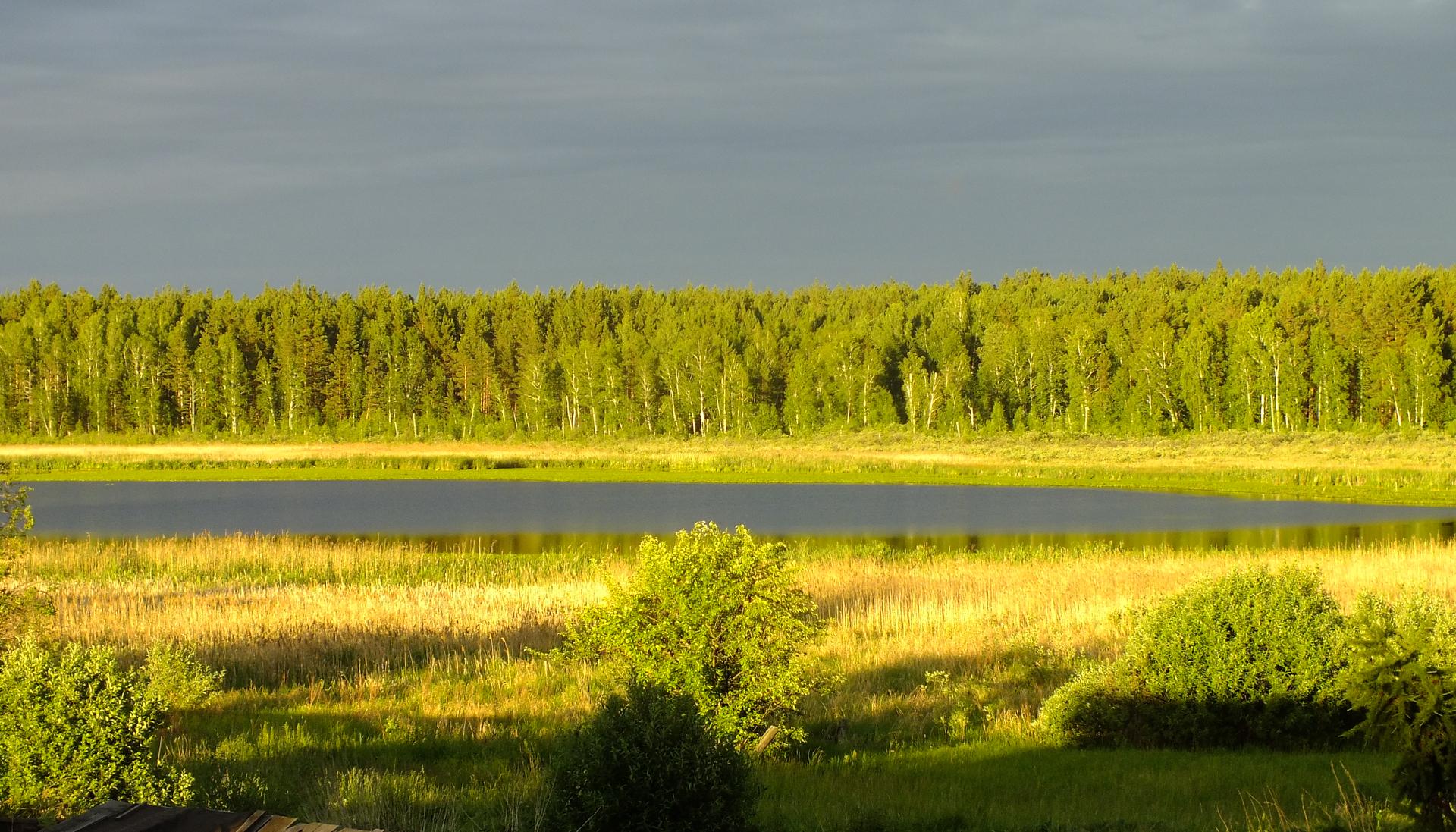 Курганская область какой край. Равнины Курганской области. Лесостепь Забайкалья. Рельеф Курганской области. Курганская область формы рельефа Курганской области.