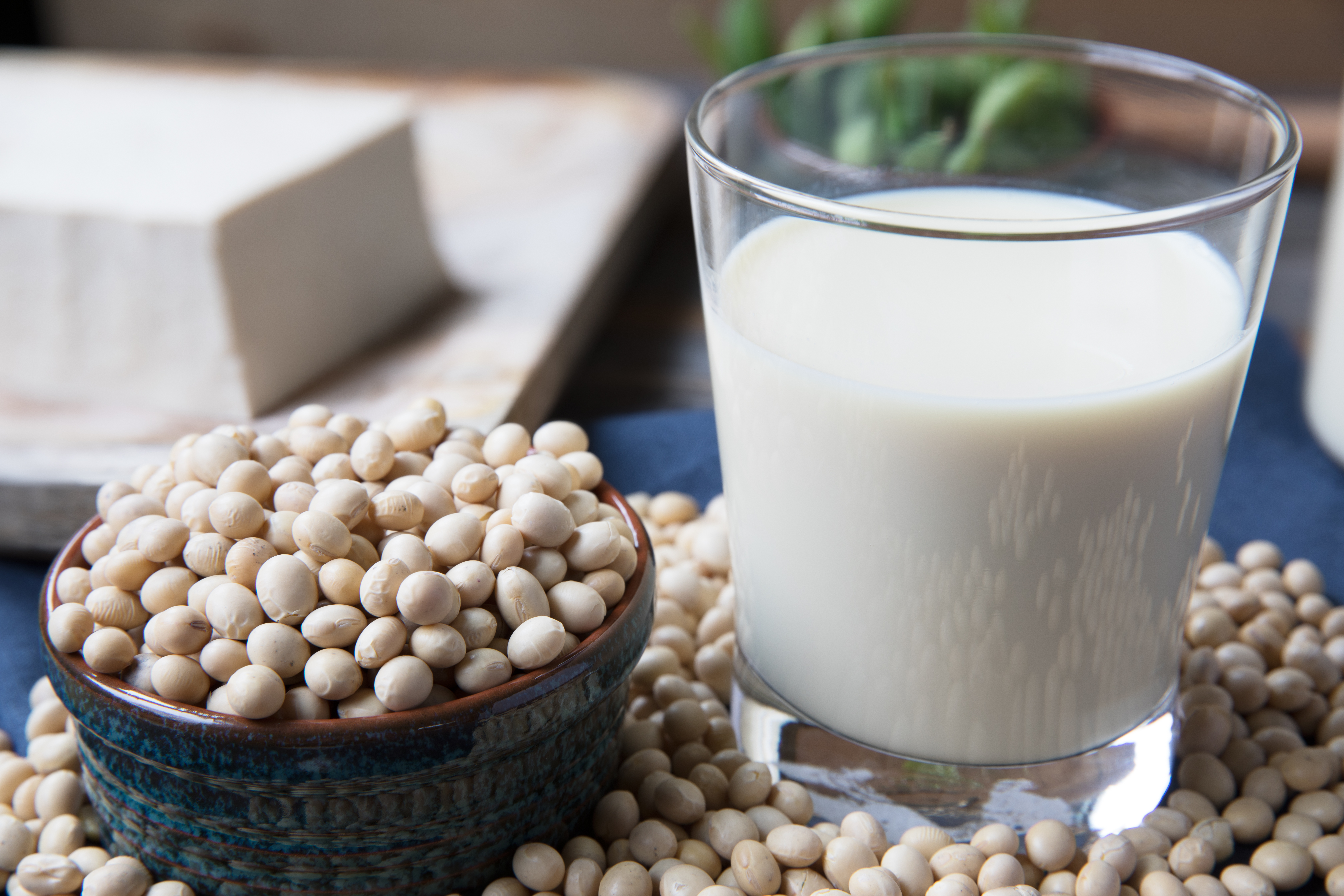 Objectif PROTEINES: De la graine crue de soja dans la ration?
