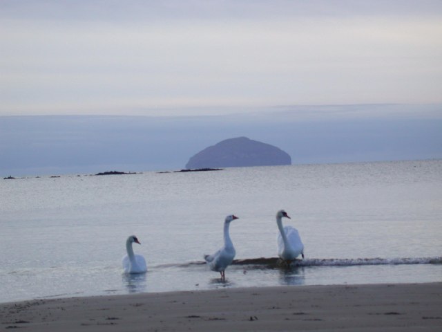 File:Ailsa Craig, from North end of Maidens Bay - geograph.org.uk - 43269.jpg