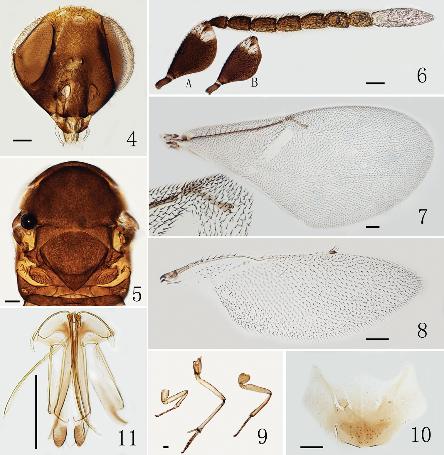 Fig4-10 of Zu et al. (2018)