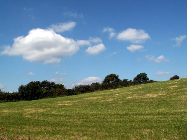 File:Blue Sky and Green Field - geograph.org.uk - 545828.jpg