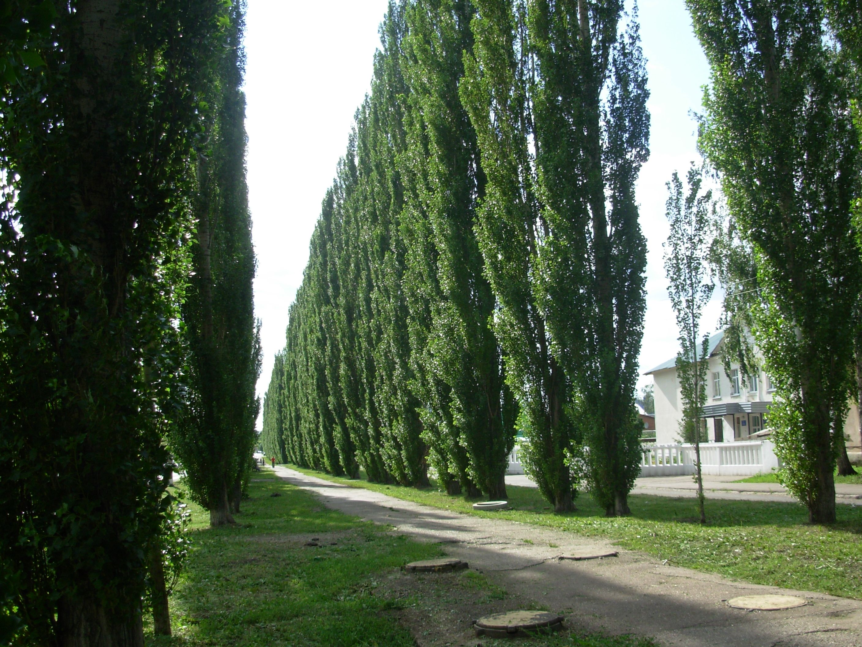 Улица Богдана Хмельницкого (Салават) — Википедия