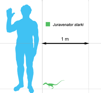 File:Borsti-scale.png