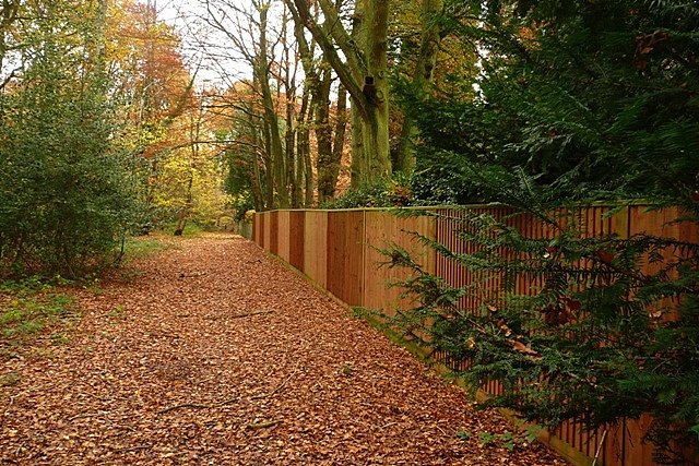 File:Boundary of Kingswood Common - geograph.org.uk - 1048866.jpg