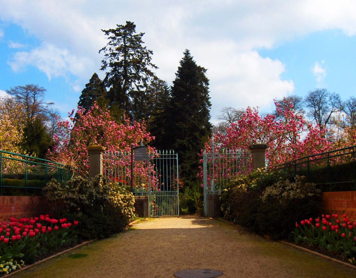 File:Entrée ouest du parc Oberthür.jpg - Wikipedia