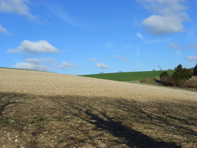 File:Farmland, Fawley - geograph.org.uk - 737111.jpg