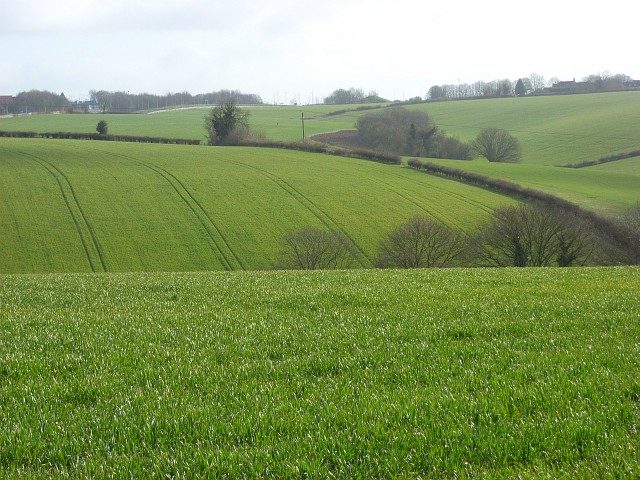 File:Farmland, Marlow - geograph.org.uk - 753756.jpg