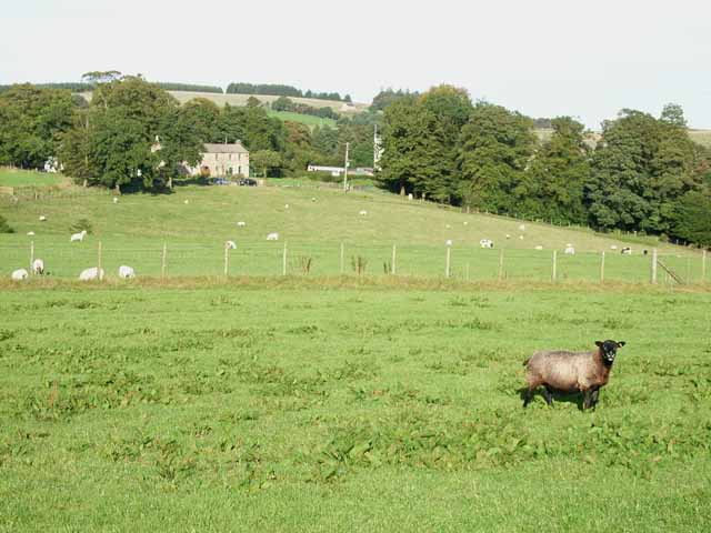 File:Gilsland Spa - geograph.org.uk - 241590.jpg