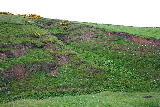 File:Gully - geograph.org.uk - 433522.jpg