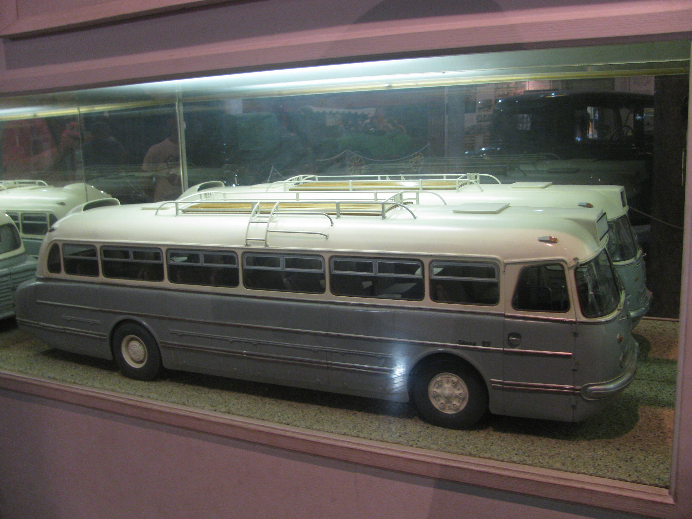 IKARUS Bus & Coach