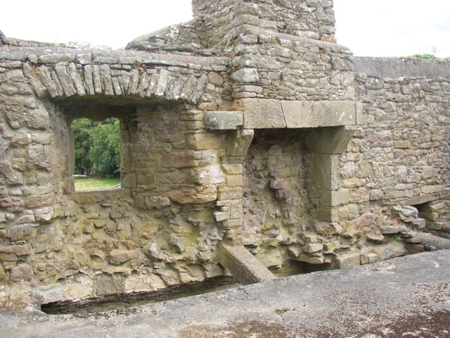 File:Interior of Aghaviller ruined church, Newmarket, Co. Kilkenny - geograph.org.uk - 206918.jpg