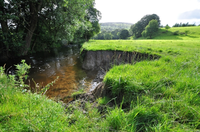 File:Lupton Beck - geograph.org.uk - 1423938.jpg