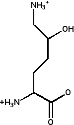 File:Lysine 5 hydroxy.png