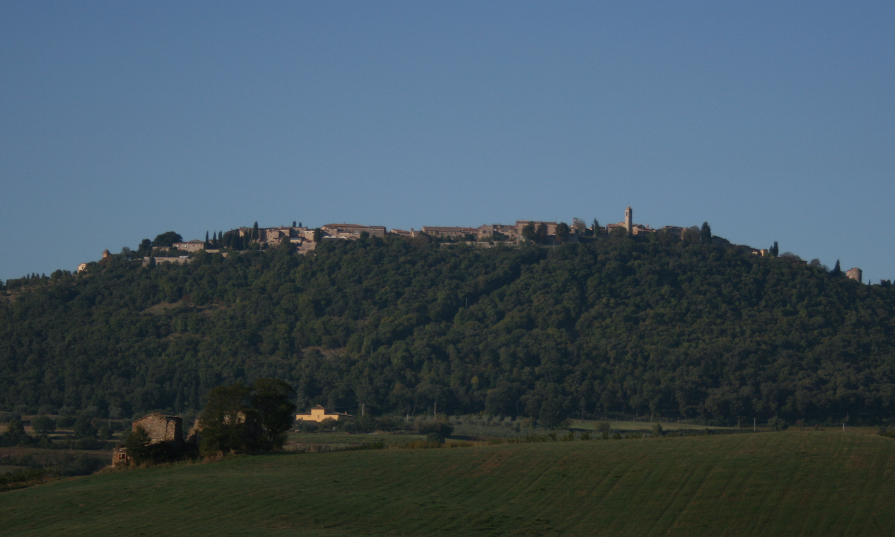 Montefollonico 2010.jpg