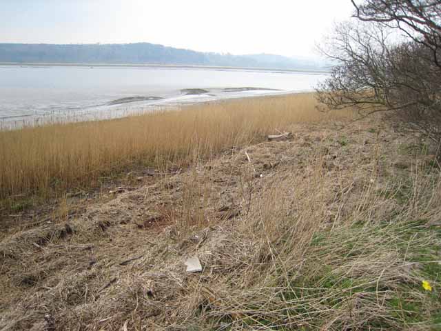 File:Nith Estuary - geograph.org.uk - 384909.jpg