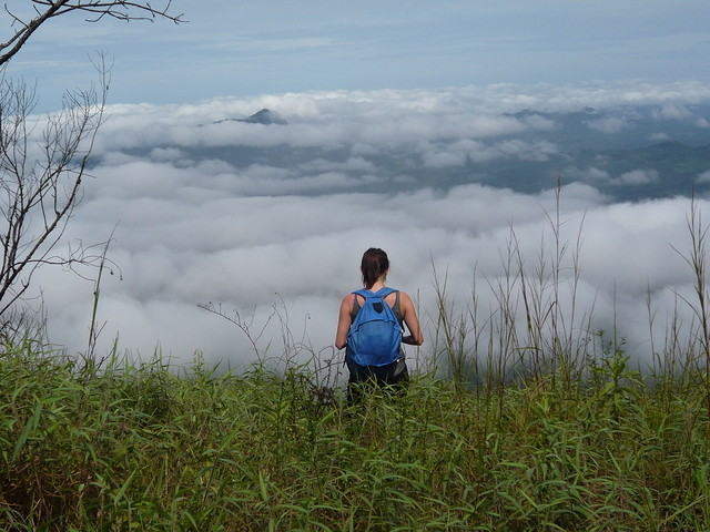 File:On the top of Nimba Range.jpg