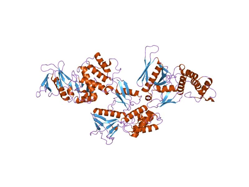 File:PDB 1gg3 EBI.jpg