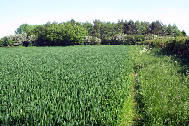 File:Path to Moor End - geograph.org.uk - 2965107.jpg