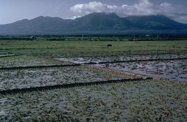 File:Pocdolberge.jpg