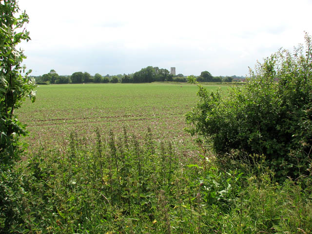 File:Private farmland east of Carbrooke - geograph.org.uk - 1347829.jpg