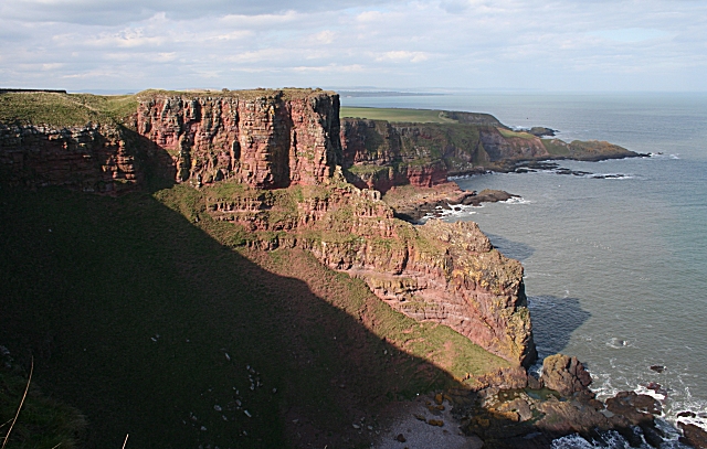 File:Red Head - geograph.org.uk - 395140.jpg