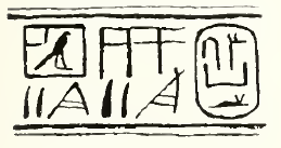 Drawing of hieroglyphs organised in columns