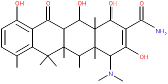 tetracyclines