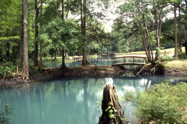 File:View of the Blue Hole Spring swimming area at Florida Caverns State Park- Marianna, Florida (3326614256).jpg