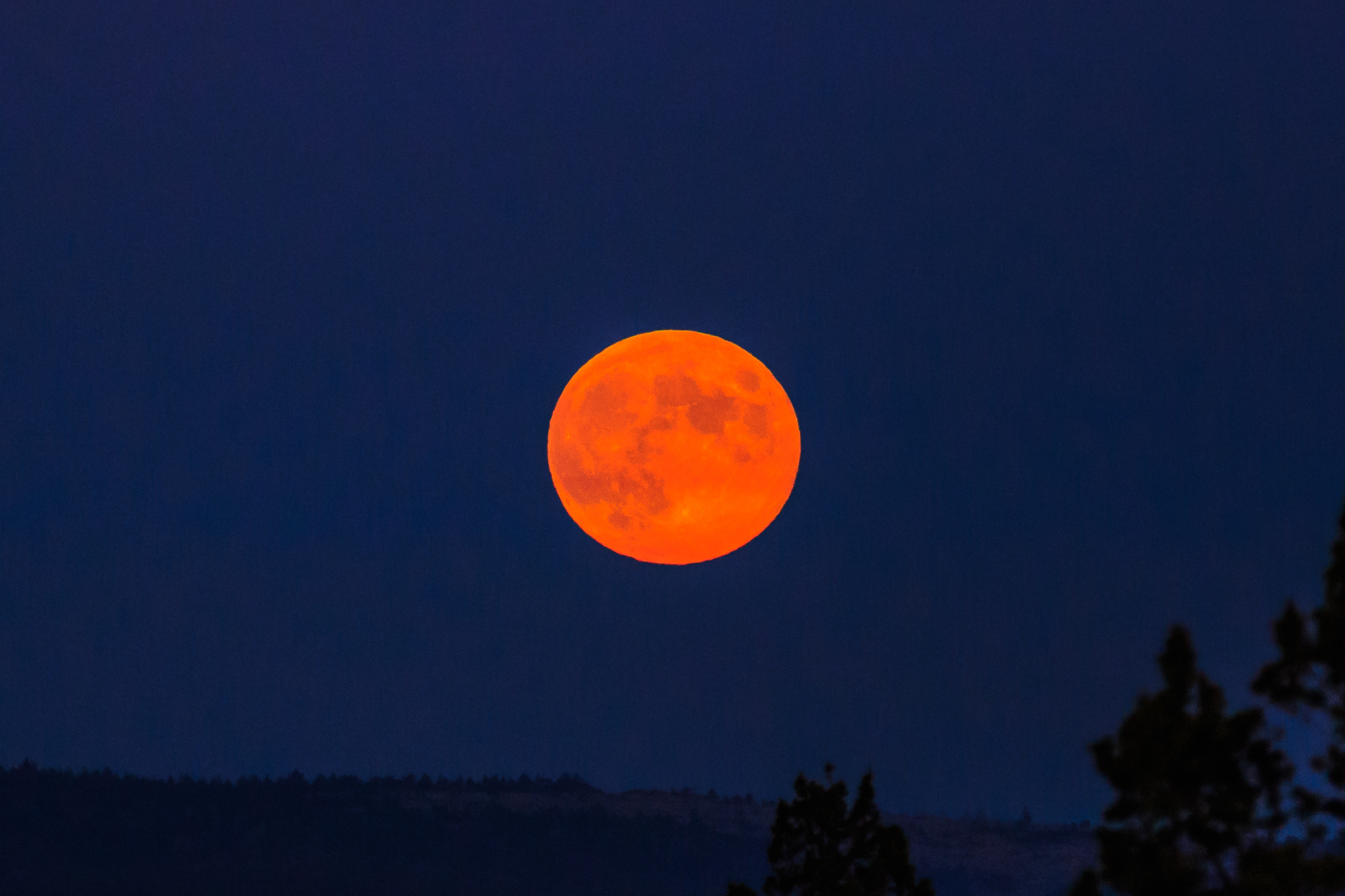Почему сегодня луна оранжевая. Оранжевая Луна. Луна в Пскове оранжевая. Затмение с оранжевой луной. Японская Луна оранжевая.