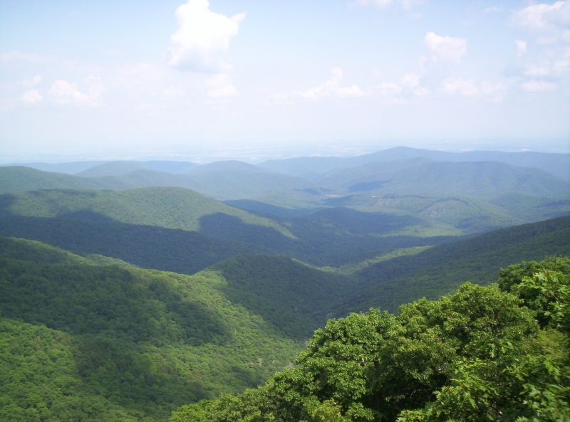 File:Wild Oak Trail View.jpg