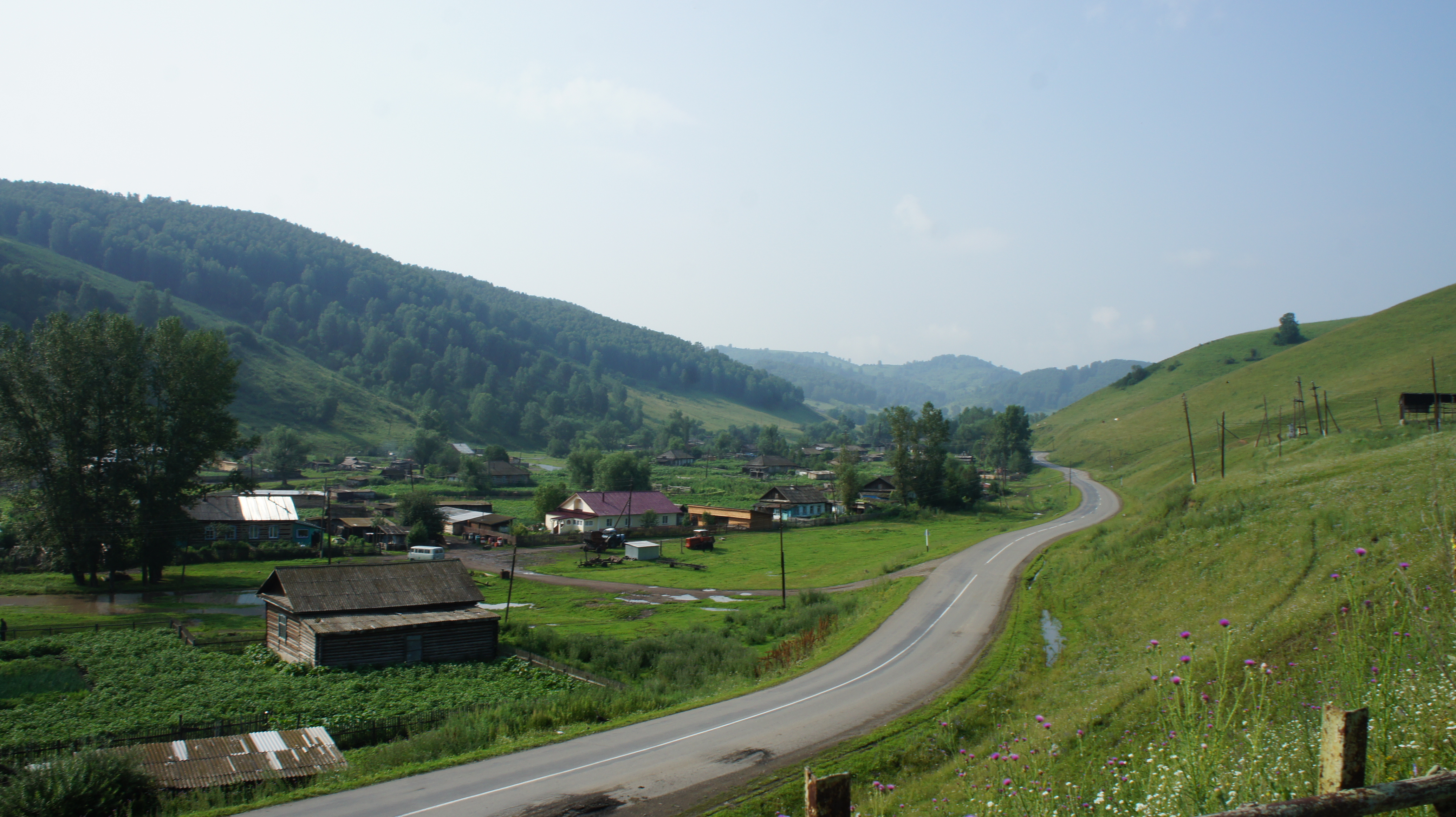 село алтайское алтайский край фото