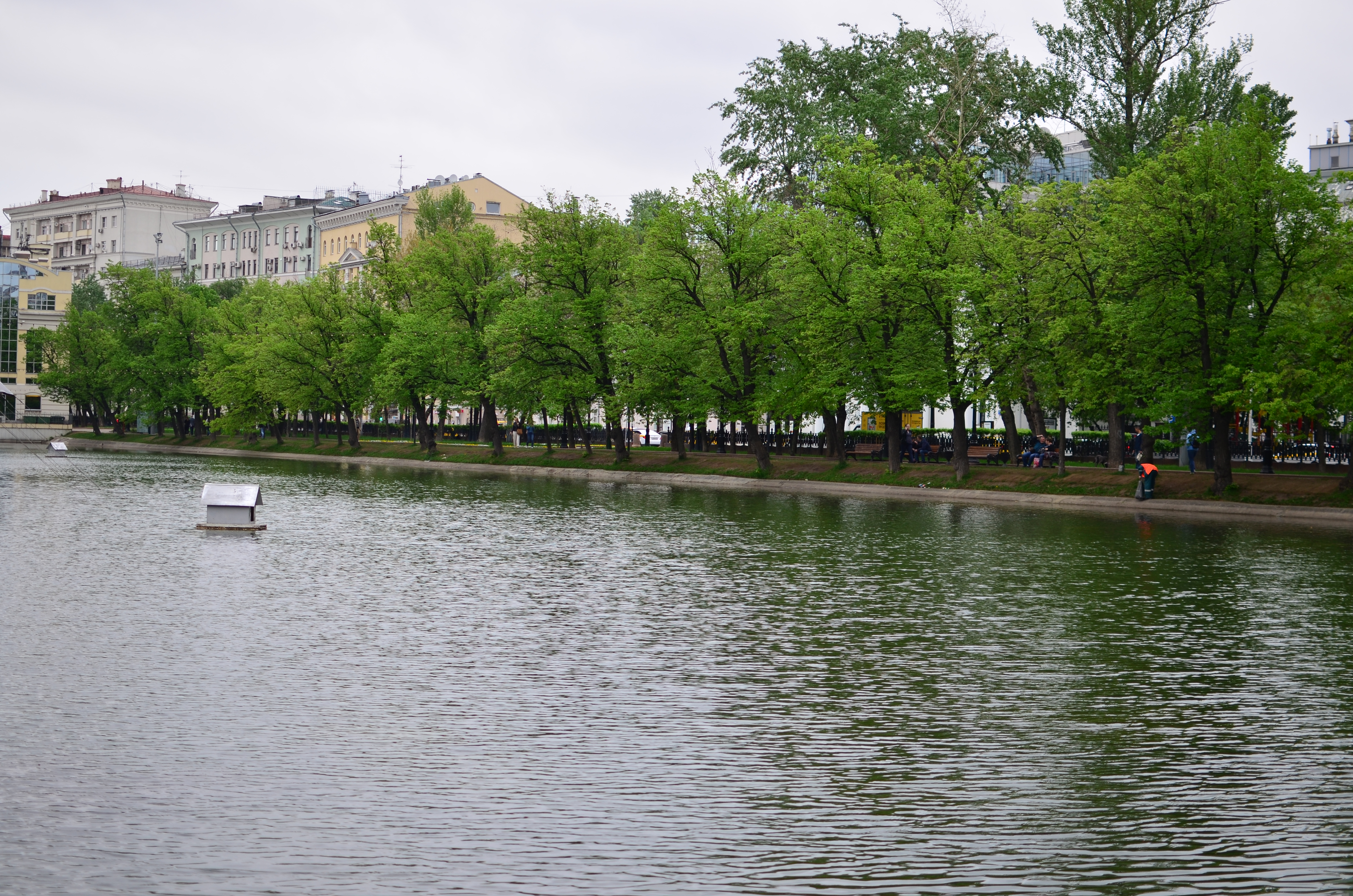 Чистые пруды Екатеринбург