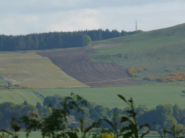 File:Arable farming on Cockleroi - geograph.org.uk - 927592.jpg