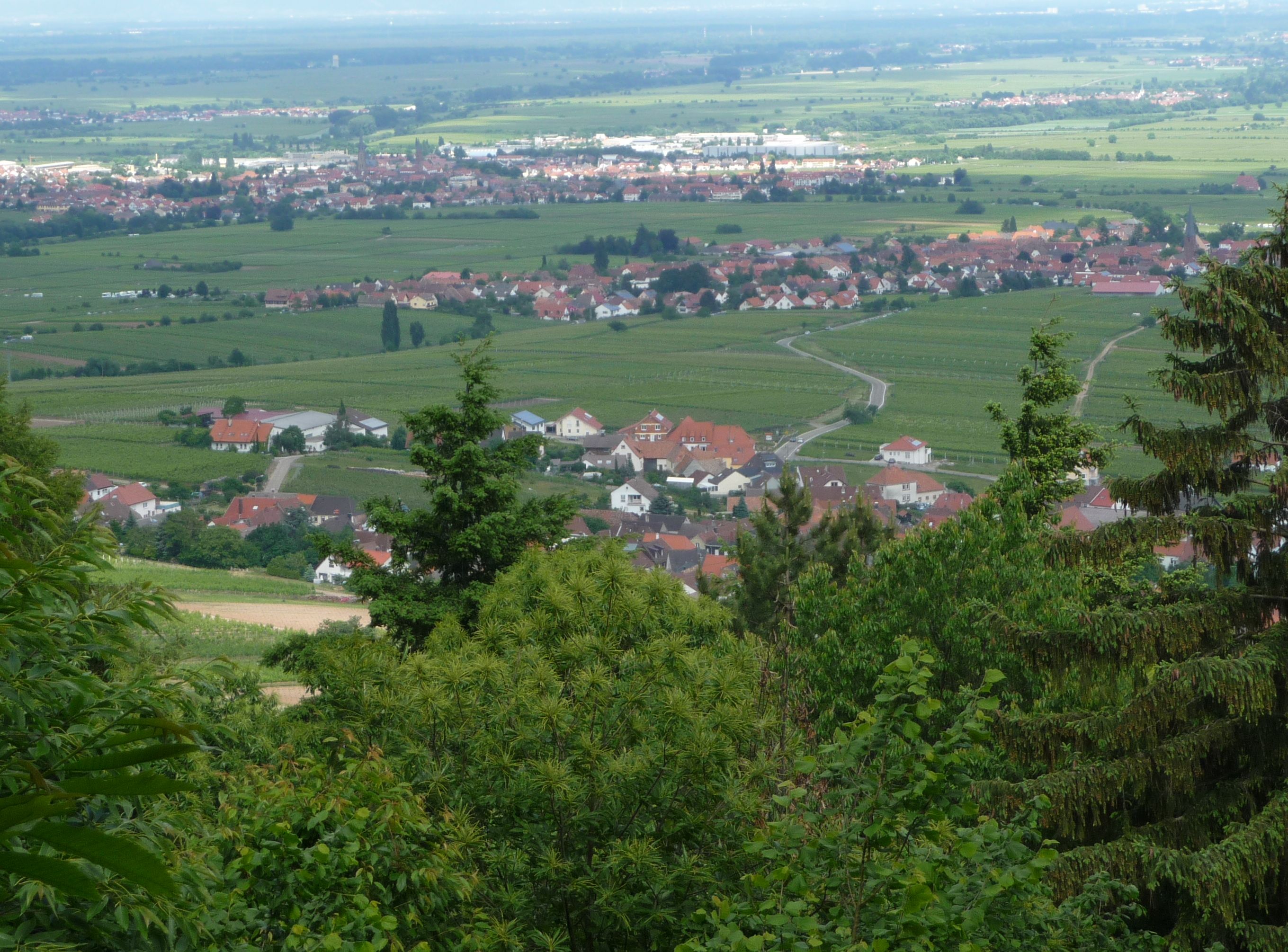 Aussicht bei Weyher in der Pfalz.jpg