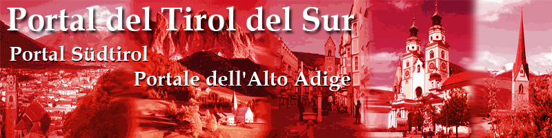 Archivo:Banner portal tirol del sur.png