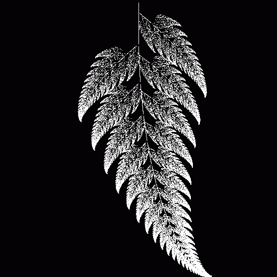 File:Barnsleys fern.png