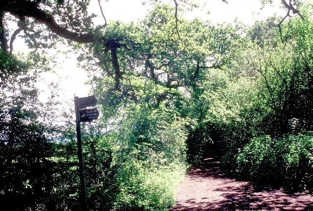 File:Bowsey Hill - geograph.org.uk - 16683.jpg