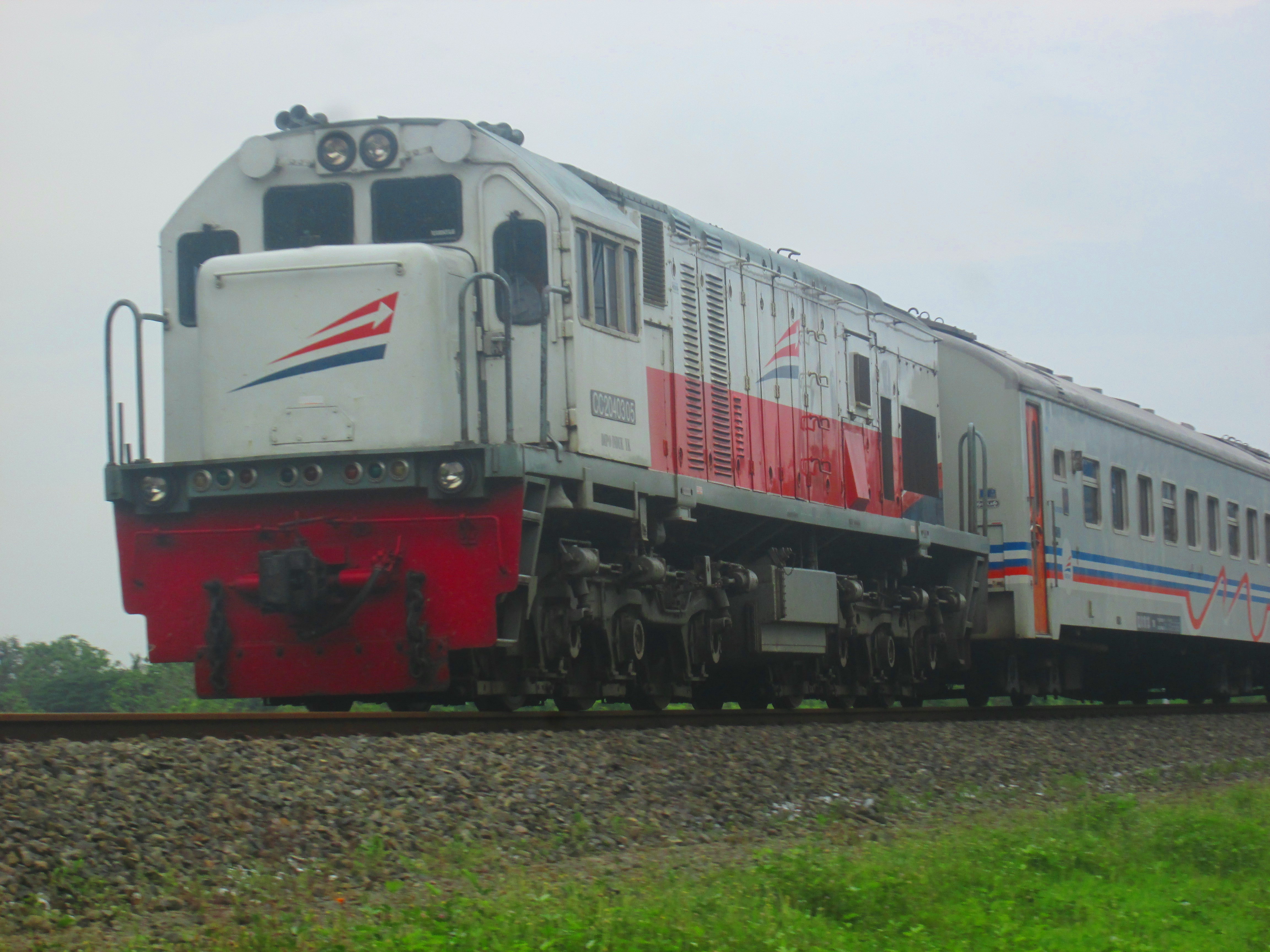 CC 204 03 05 Gajah Wong di Jembatan Progo