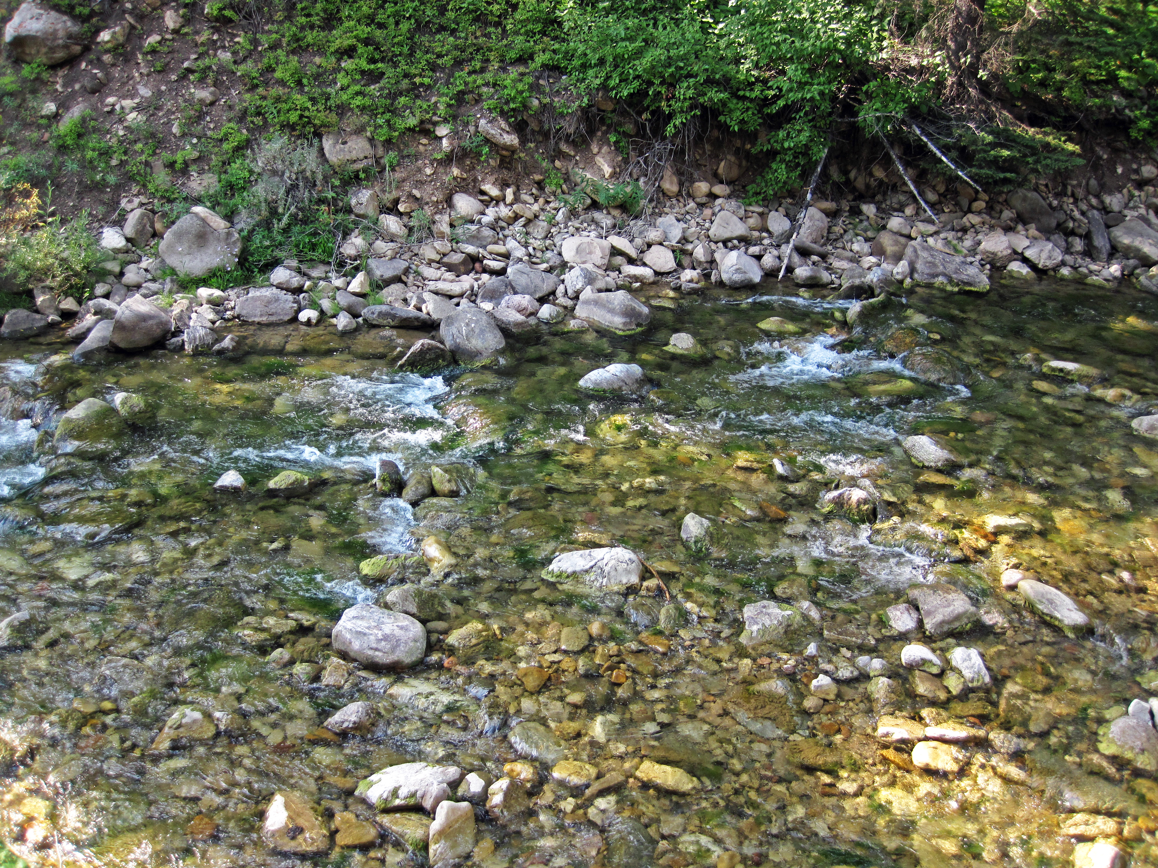 File Cabin Creek Gallatin National Forest Gallatin County