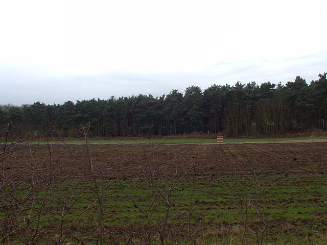 File:Common Wood - geograph.org.uk - 313456.jpg