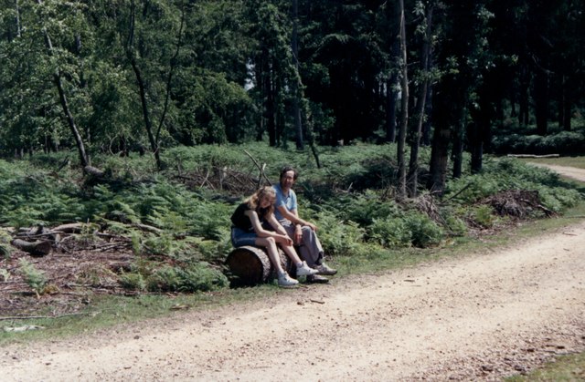 File:Driveway at the reptile centre - geograph.org.uk - 5158006.jpg