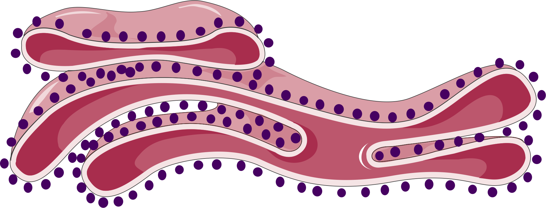 endoplasmic reticulum clipart